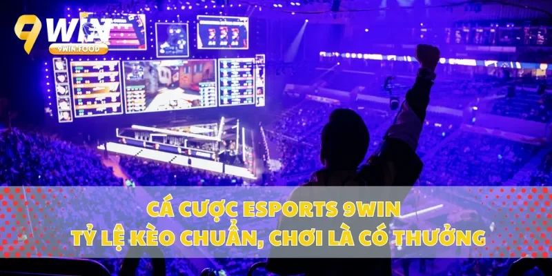 Cá Cược Esports 9Win – Tỷ Lệ Kèo Chuẩn, Chơi Là Có Thưởng