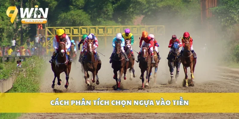 Cách phân tích chọn ngựa vào tiền