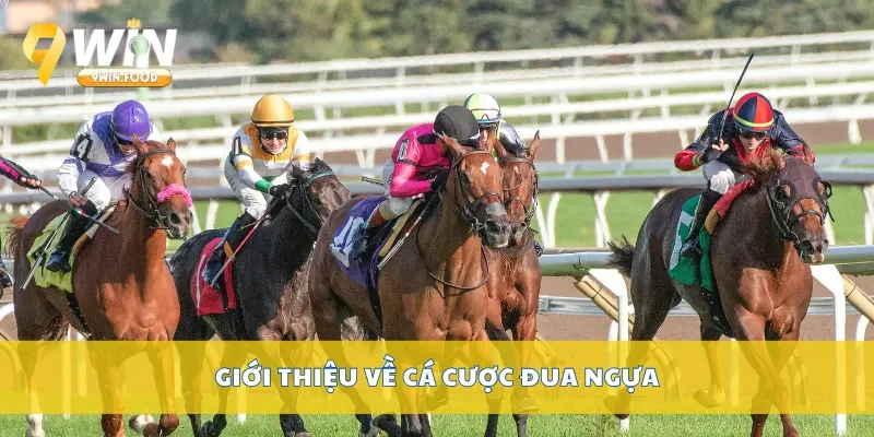 Giới thiệu về cá cược đua ngựa
