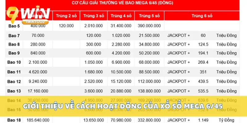 Giới thiệu về cách hoạt động của xổ số mega 6/45