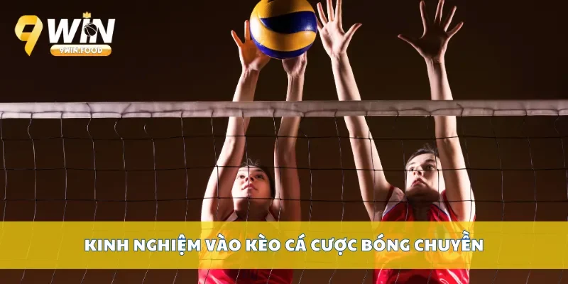 Kinh nghiệm vào kèo cá cược bóng chuyền