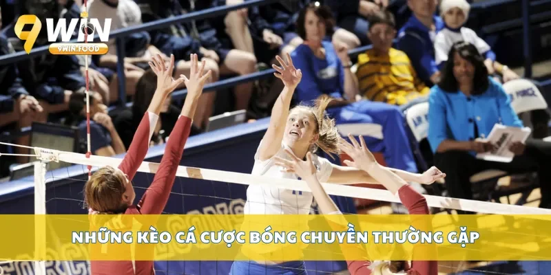 Những kèo cá cược bóng chuyền thường gặp